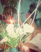 Анкета проститутки Галина - метро Тропарево-Никулино, возраст - 25